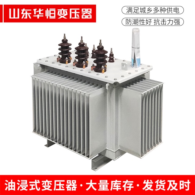 S13-10000/35汪清汪清汪清油浸式变压器厂家